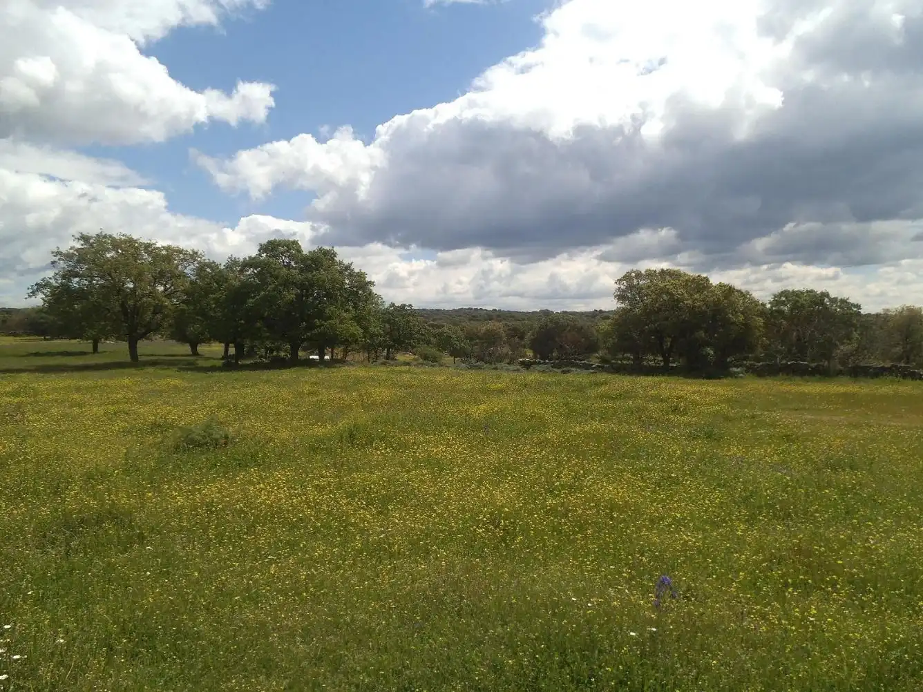 Residencial en venda en Valdemorillo