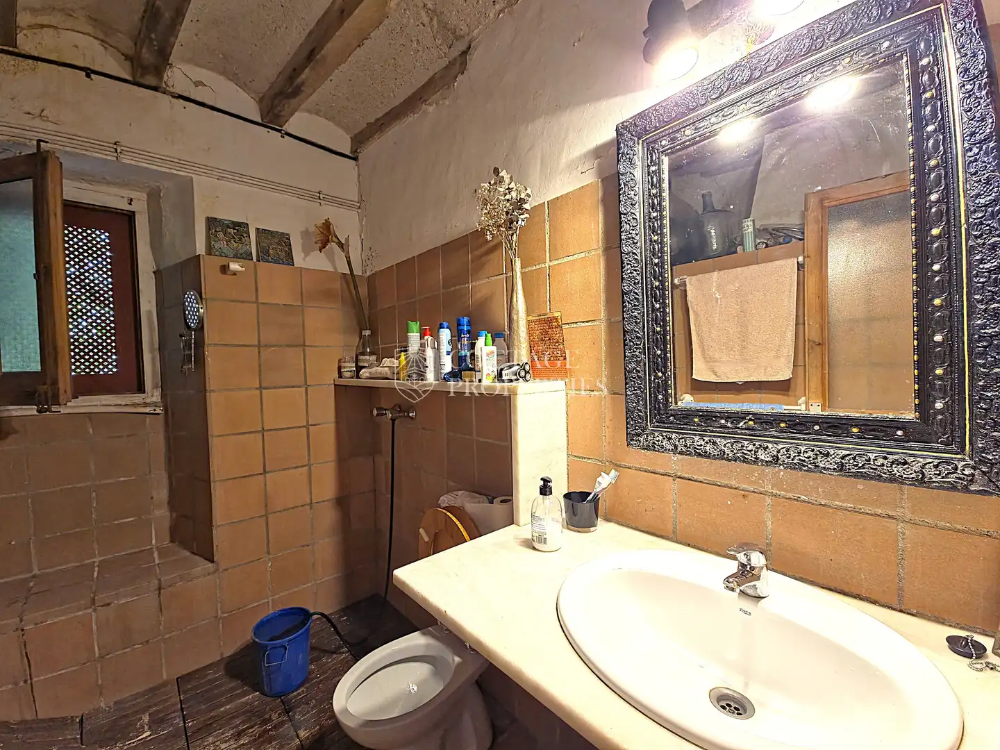 Casa rustica con giardino in vendita a Diseminat Afores, imagen 28