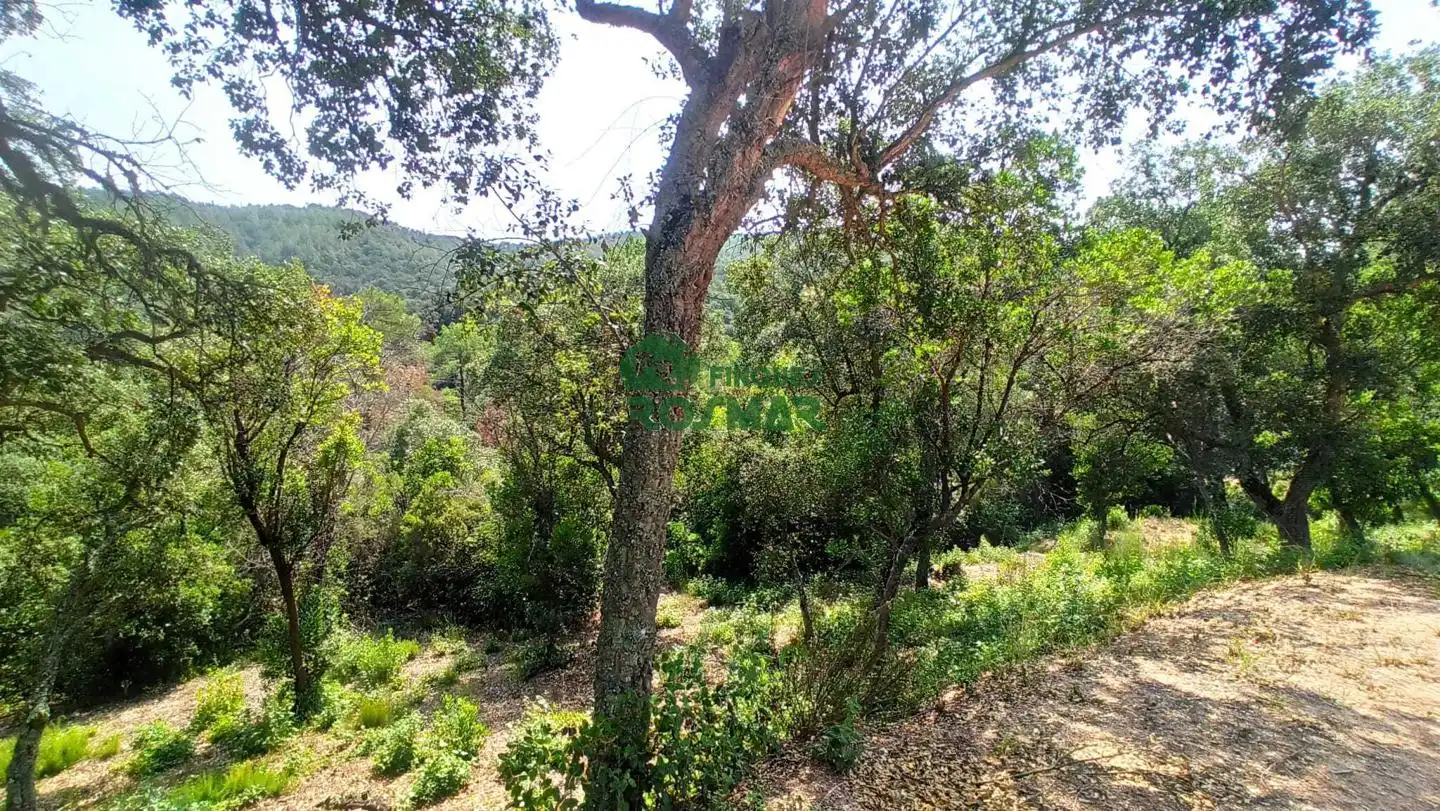 Terreny rústic en venda a Lloret Blau - La Creu de Lloret, imagen 6