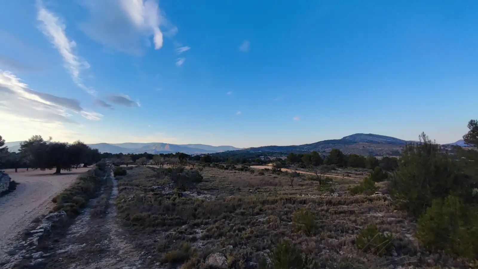 Terreno en venta en Monóvar  / Monòver