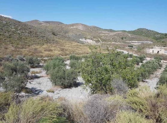 Land for sale in Lorca