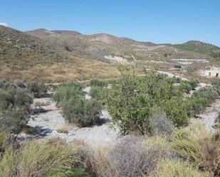 Land for sale in Lorca