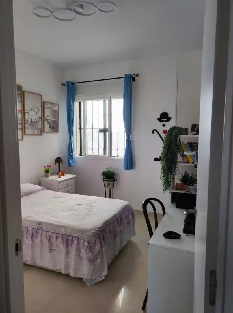 Wohnungen zum Verkauf in C. Asensio y Toledo, 12, #PLANTA 3, Bellavista