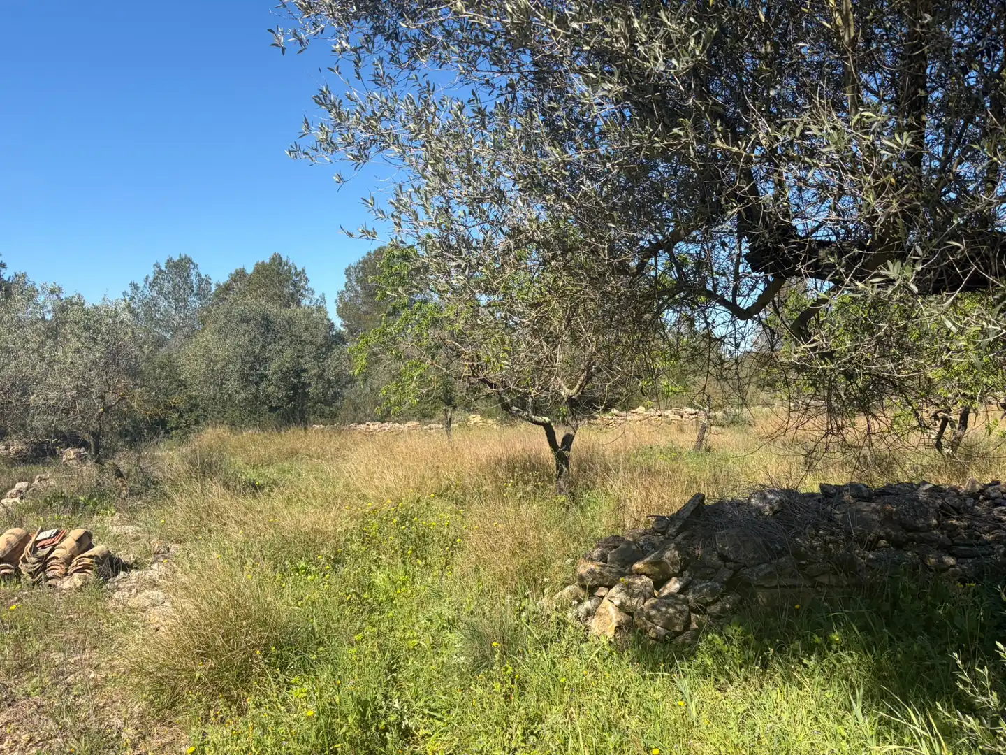 Finca rústica en venta en Tivissa