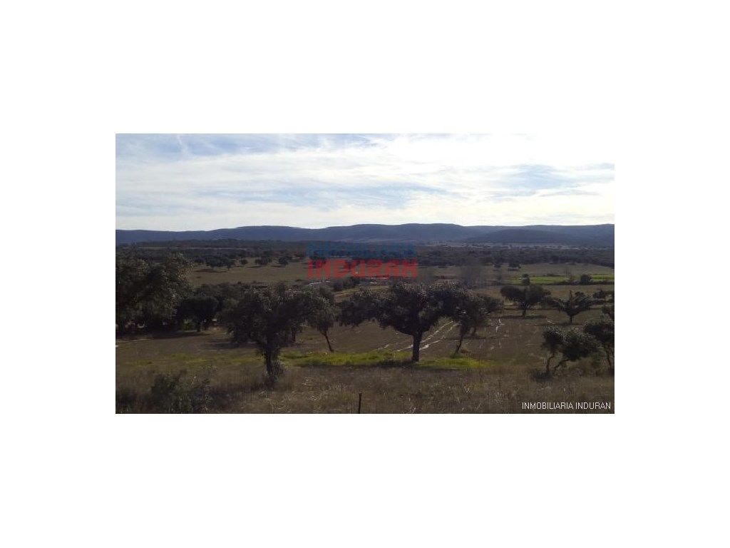 House or chalet for sale in Centro - Plaza Mayor