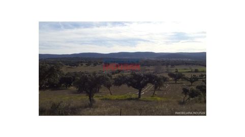 Finca de 215 ha ganadera, de recreo y con coto de caza en Ciudad Real