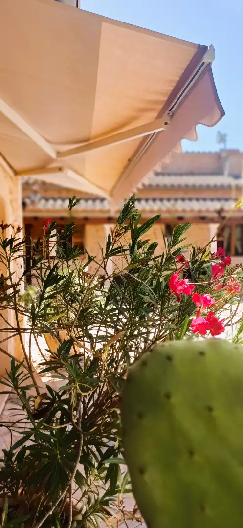 Finca rústica de alquiler en Costitx