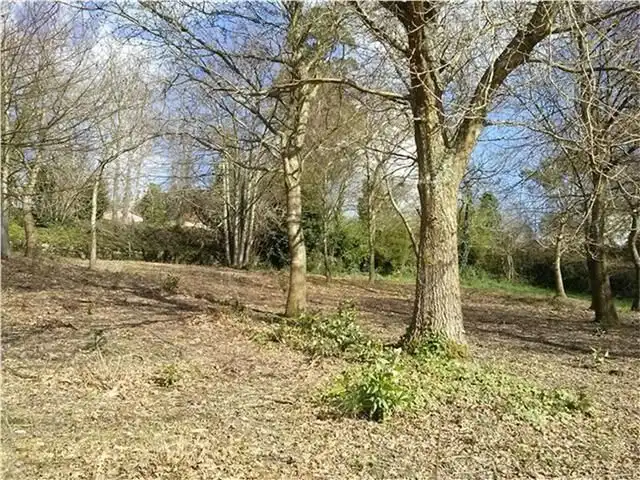 Residencial en venda en Cesuras