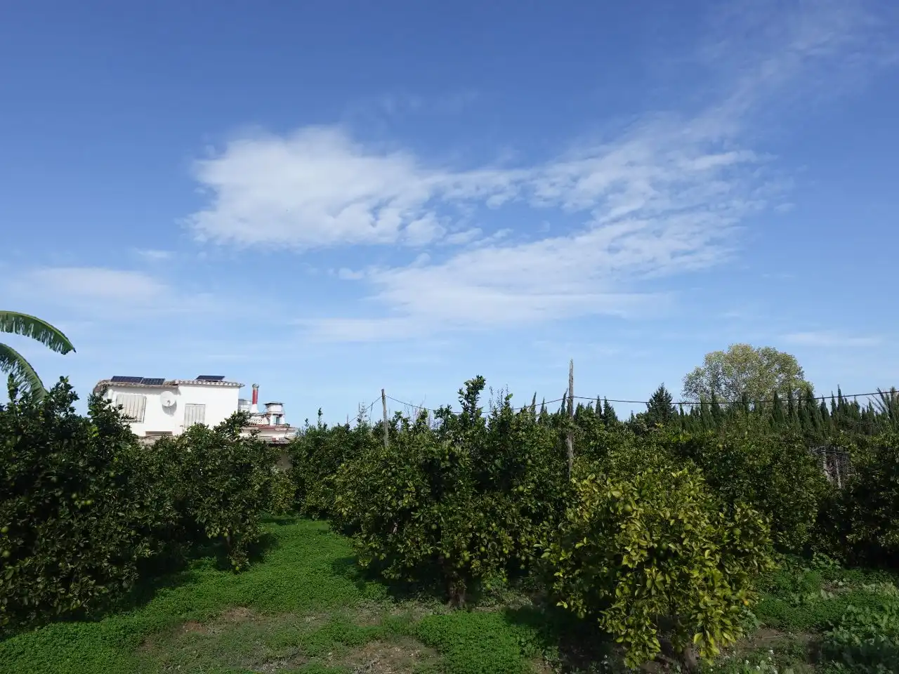 Casa con giardino in vendita a Cami Terra Nova 15, imagen 31