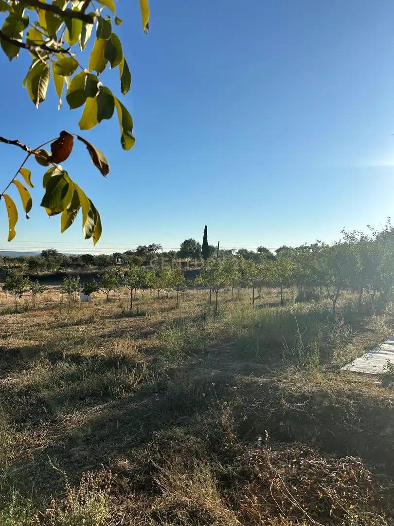 House with pool for sale in 10530 Serradilla, Spain, imagen 21