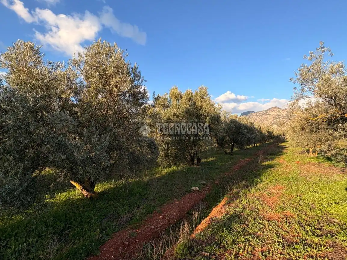Rural land for sale in Dúrcal, imagen 11