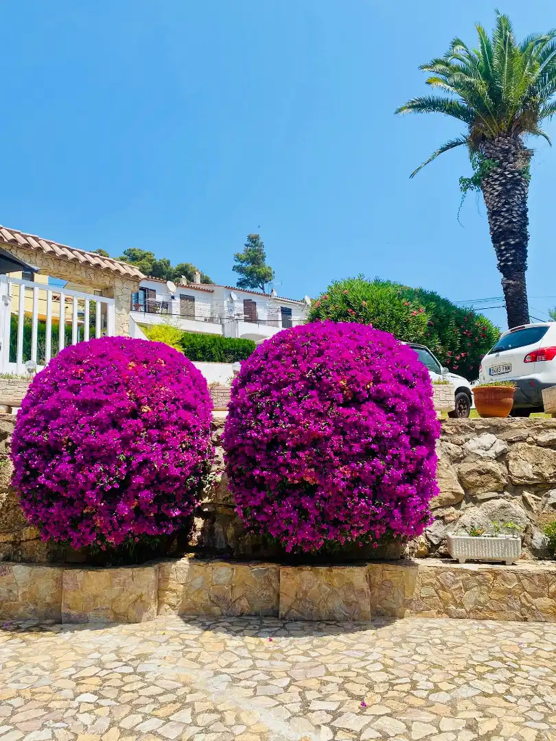Jardín de Casa o chalet en venta en L'Estartit con Aire acondicionado, Calefacción y Jardín privado