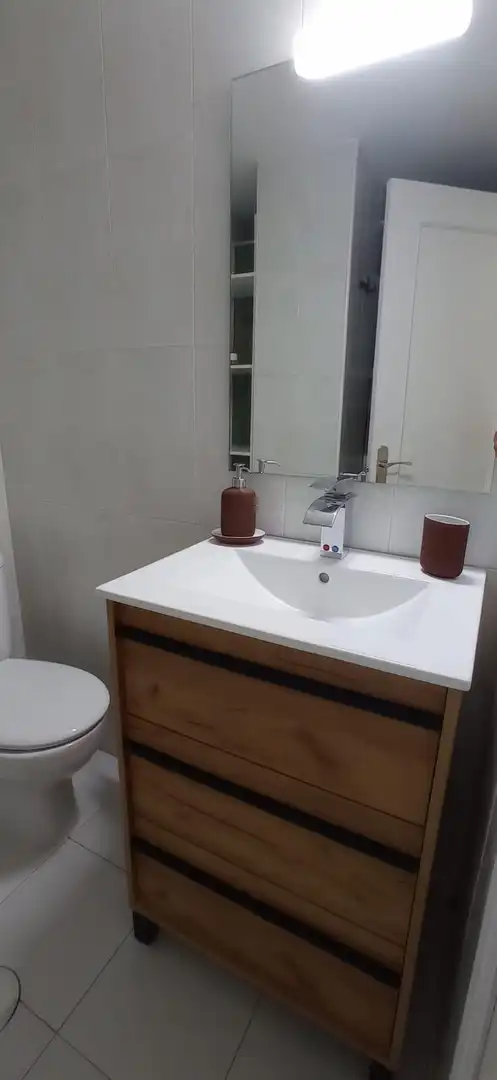 Bathroom of Apartments for rent in Murcia  with Air Conditioner, Furnished and Balcony