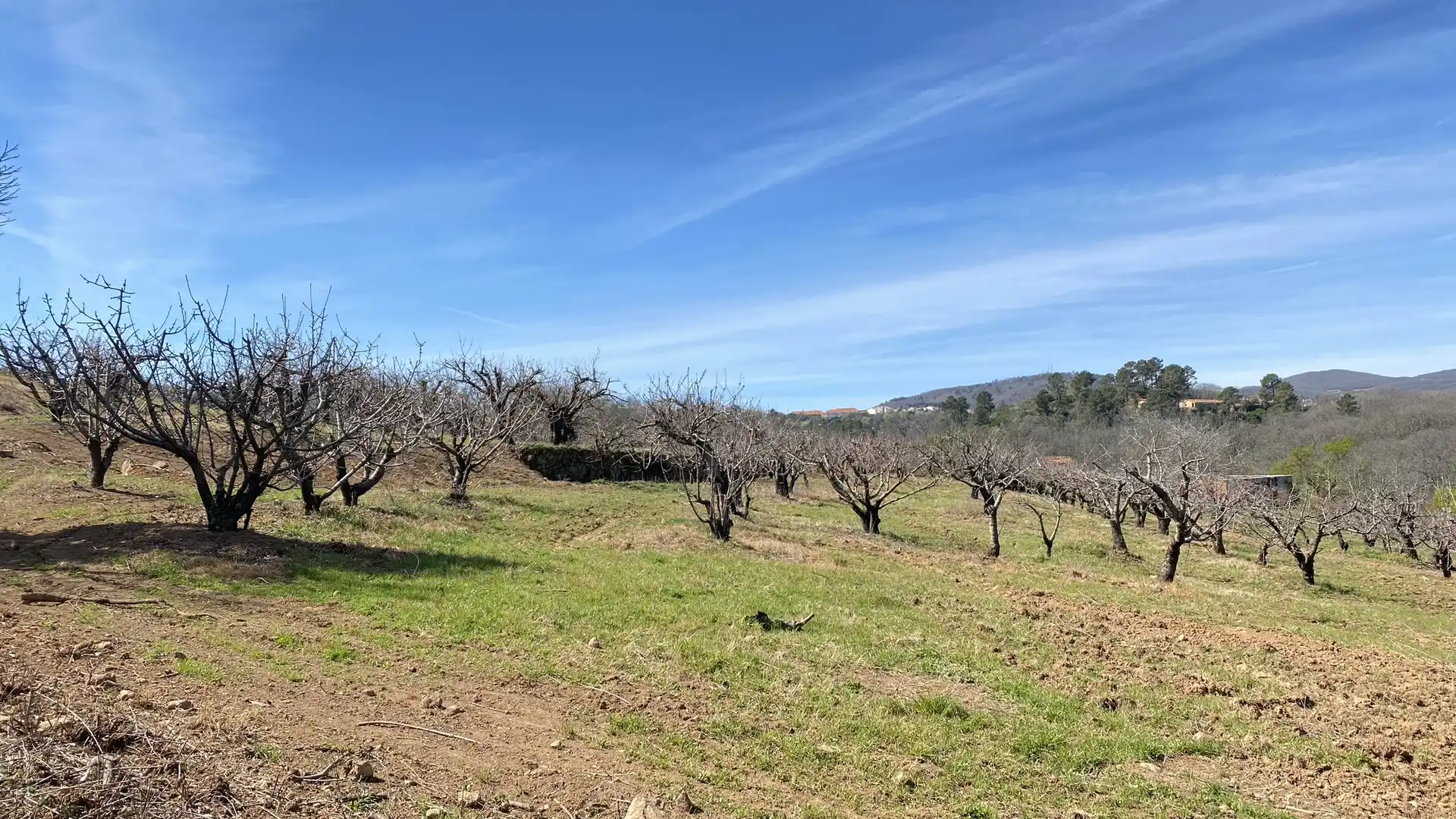 Terreni e lotti in vendita a Jaraíz de la Vera