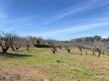 Rural land for sale in Jaraíz de la Vera