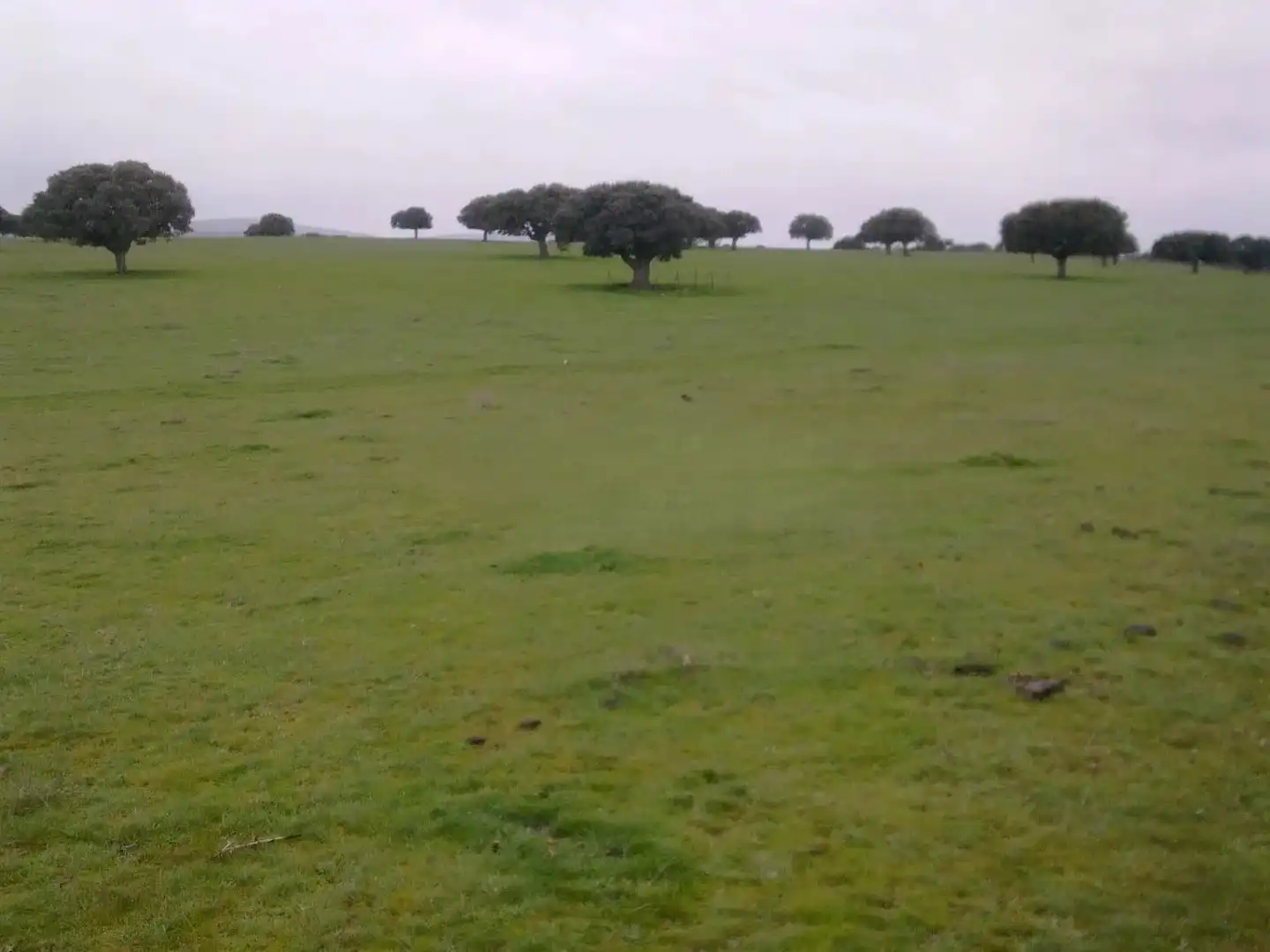 Land for sale in Vistahermosa