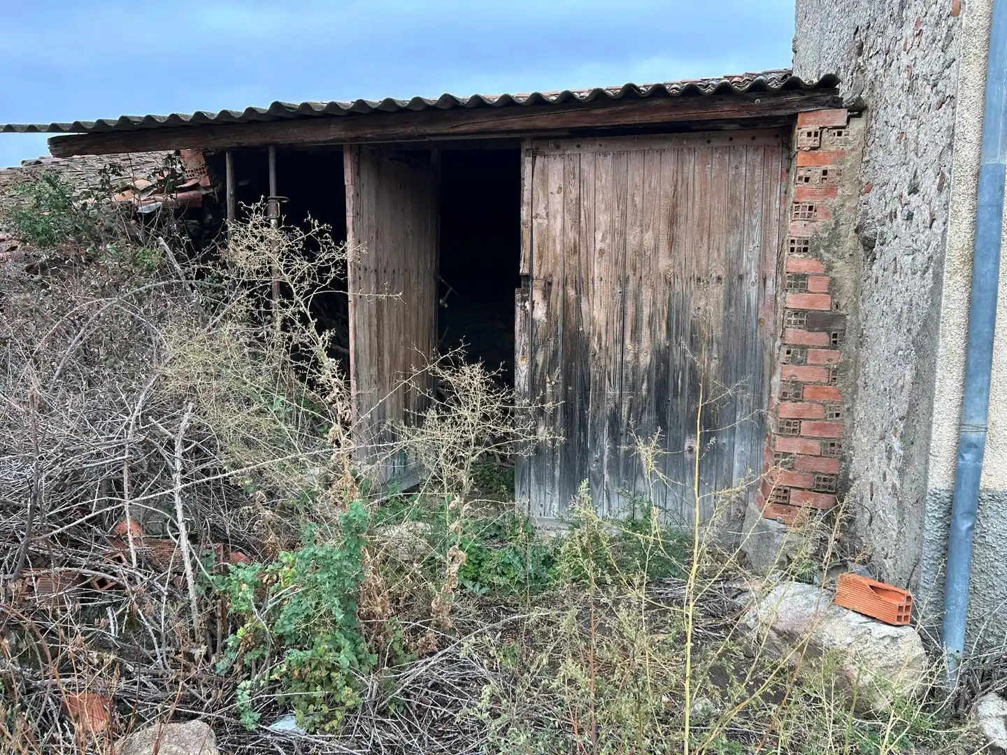 Vista exterior de Finca rústica en venta en Santo Domingo de Pirón, Segovia