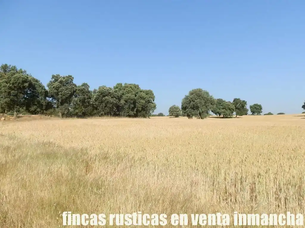 Terreno en venta en Alcaraz