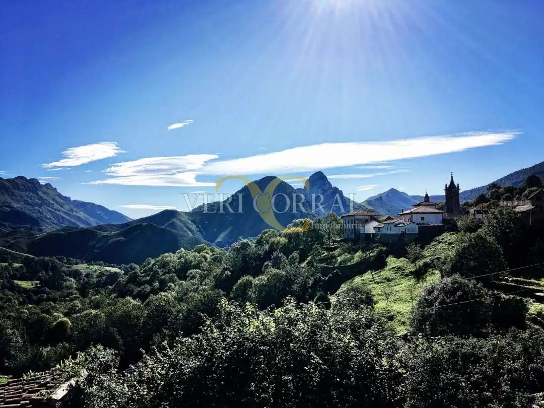 Vista exterior de Casa adosada en venda en Peñamellera Alta amb Calefacció