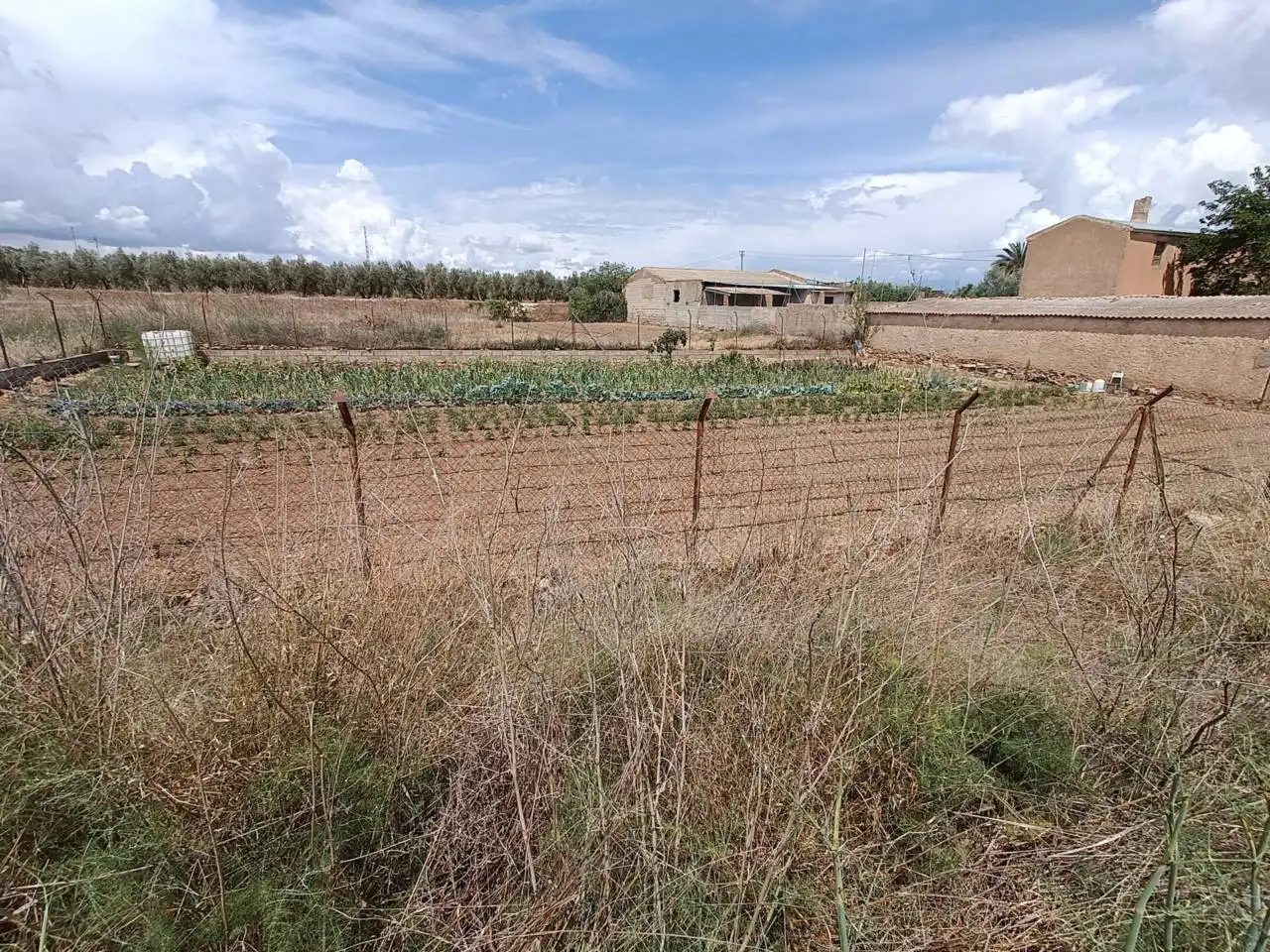 Rural land for sale in Moraleda de Zafayona, imagen 18