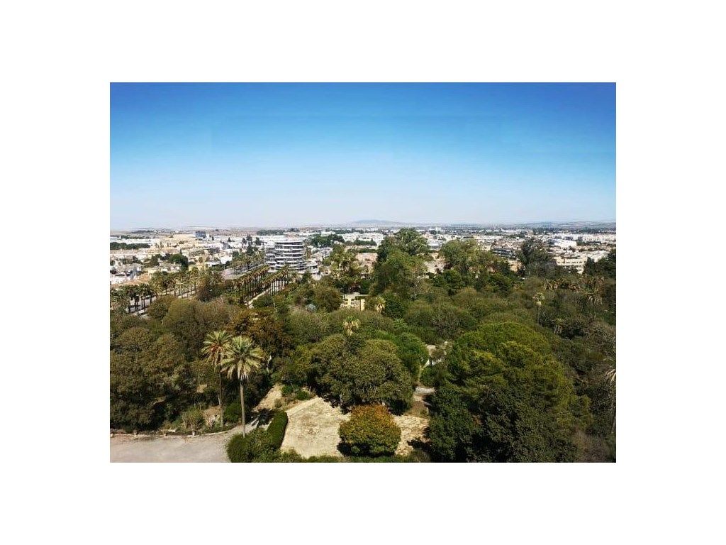 Pis en venda en Jerez de la Frontera