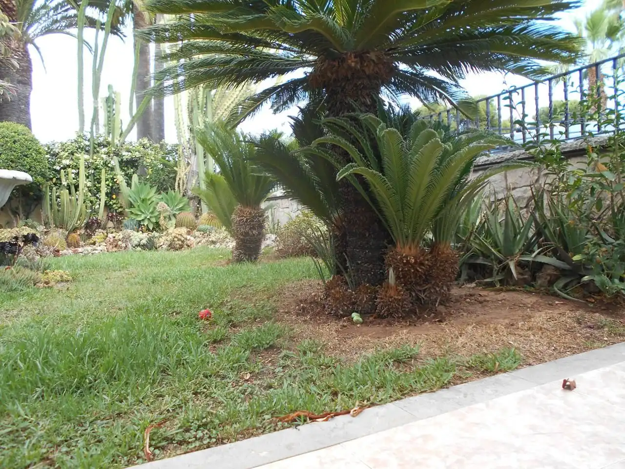 Garden of Houses for sale in Burriana / Borriana  with Air Conditioner, Private garden and Terrace