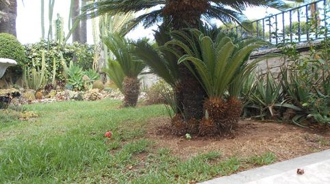 Photo 4 of Houses for sale in Carrer Peñíscola, Playa, Burriana / Borriana