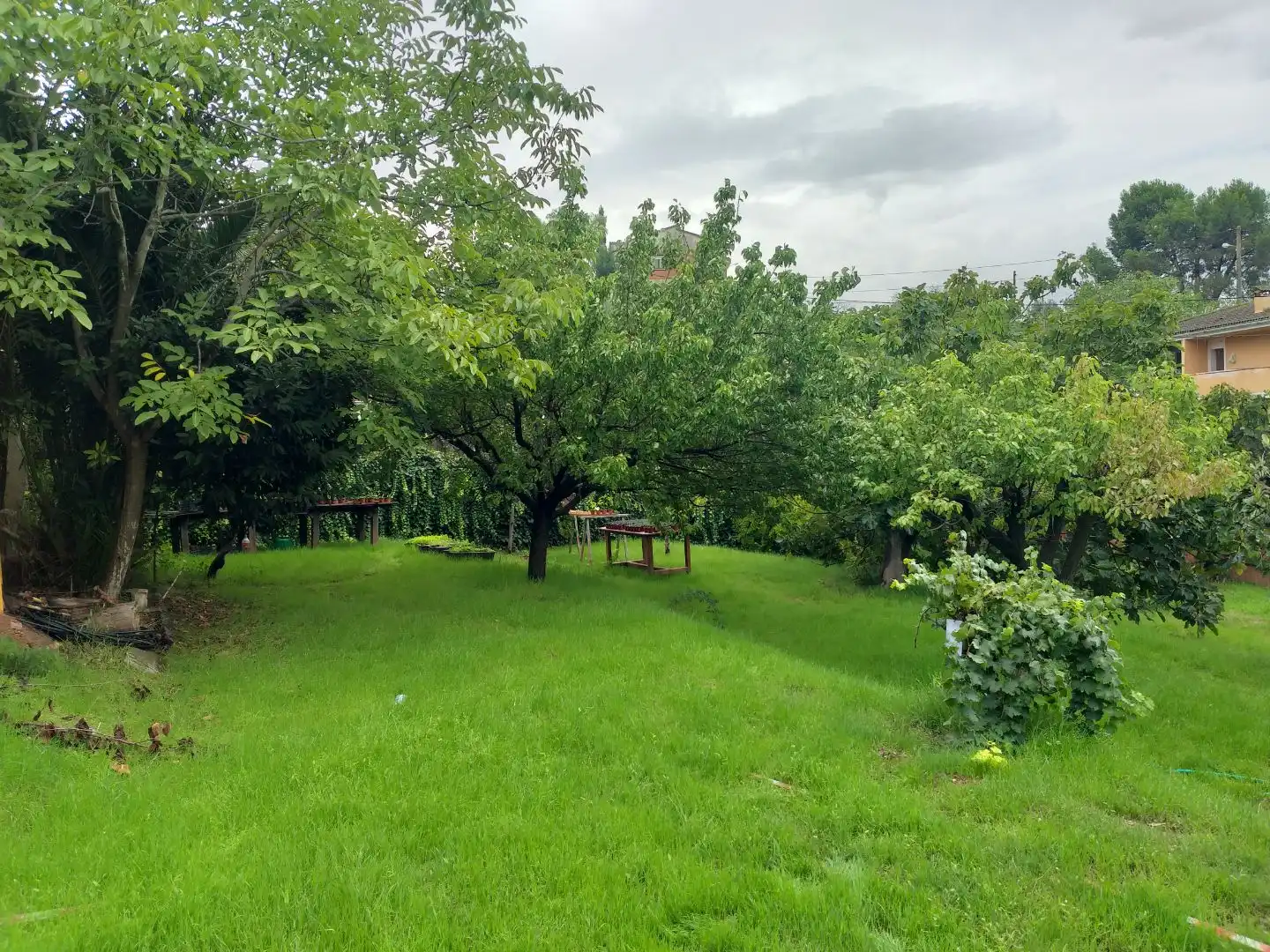 Wohnbaugrundstück zum Verkauf in Montjuic 39, imagen 3