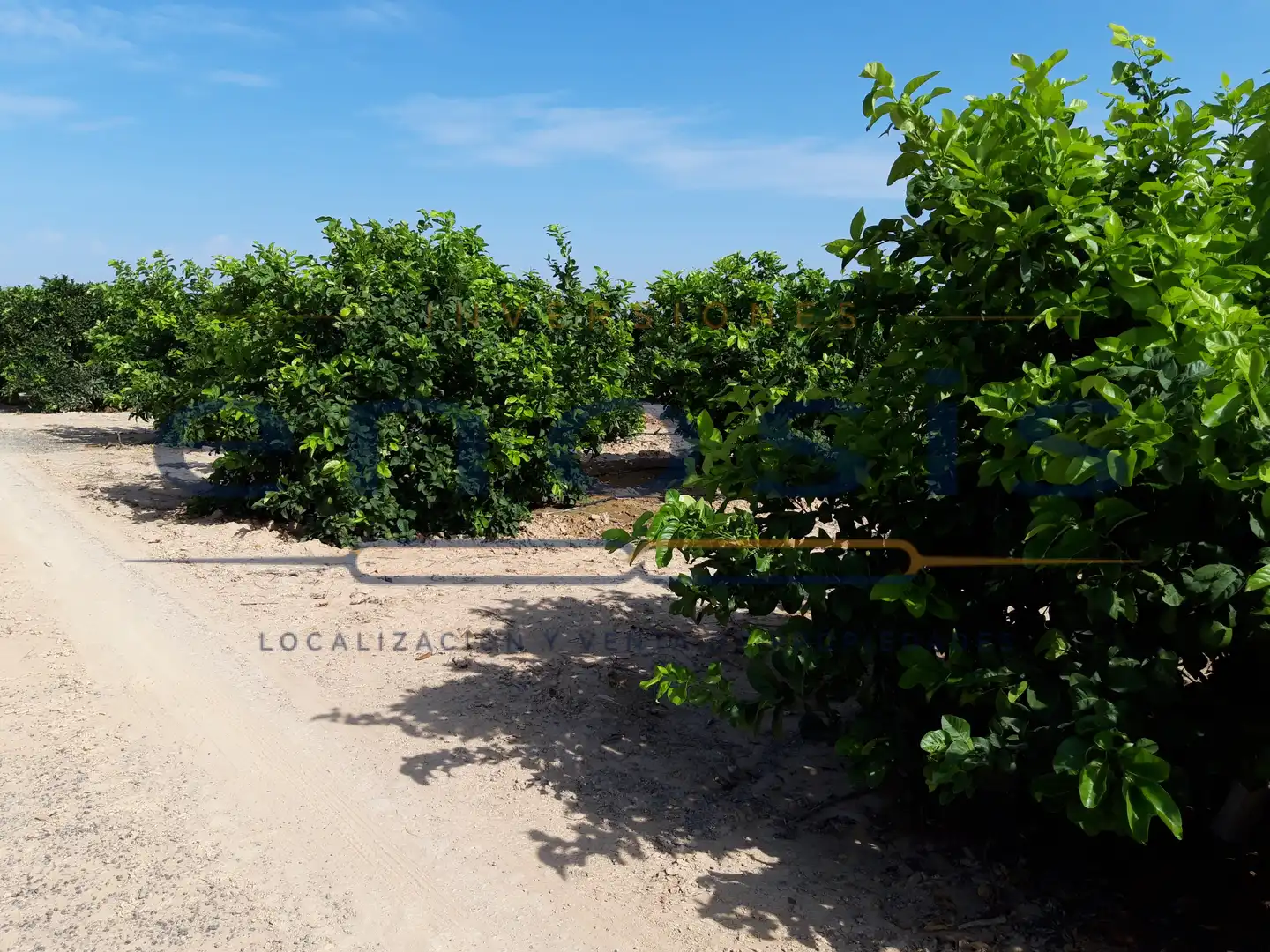 Terreno rustico in vendita a RM-F21, imagen 4