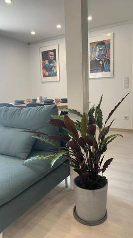 Apartamento en Venta en Mont-Olivet