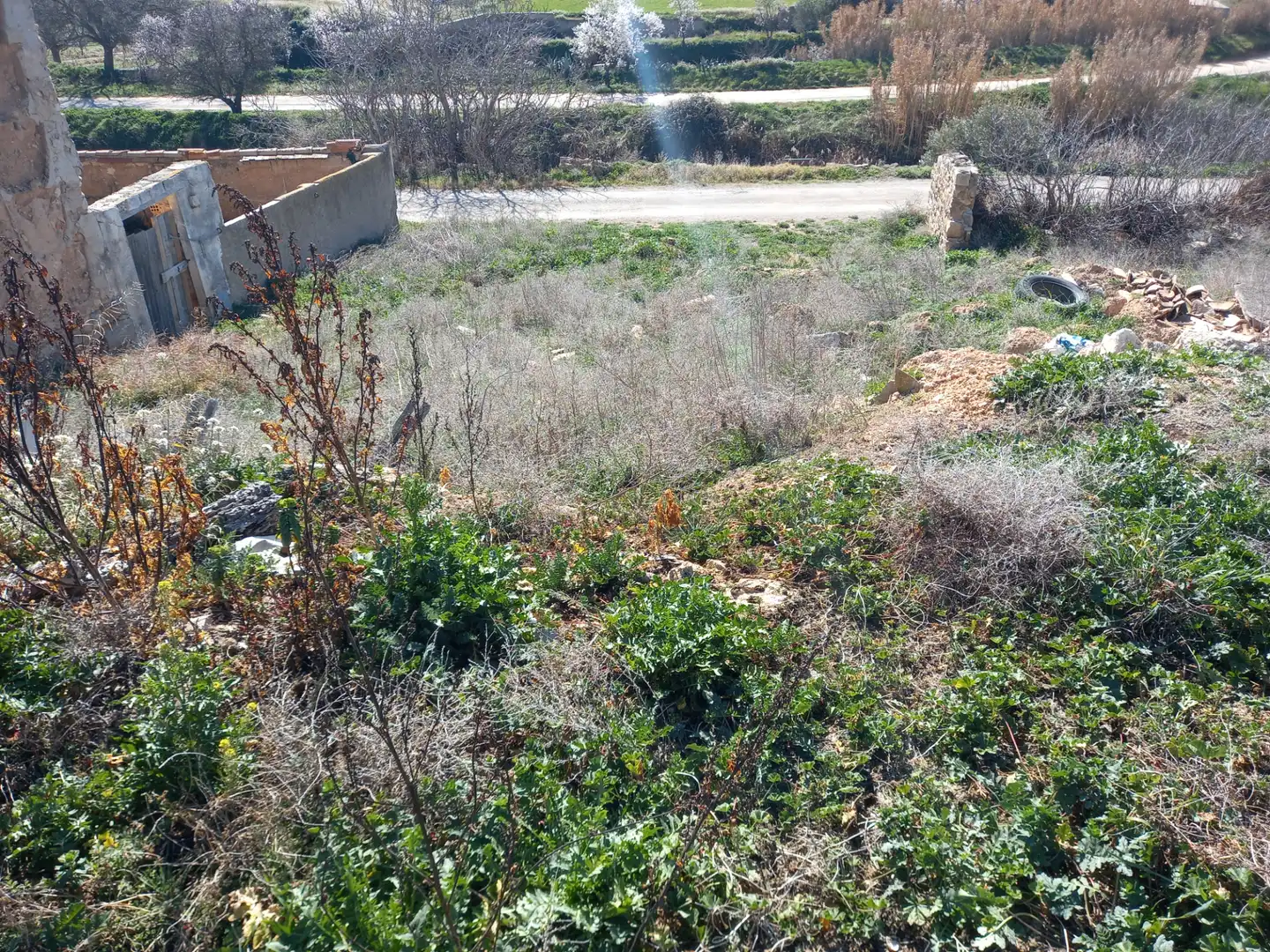 Land for sale in Mas de las Matas