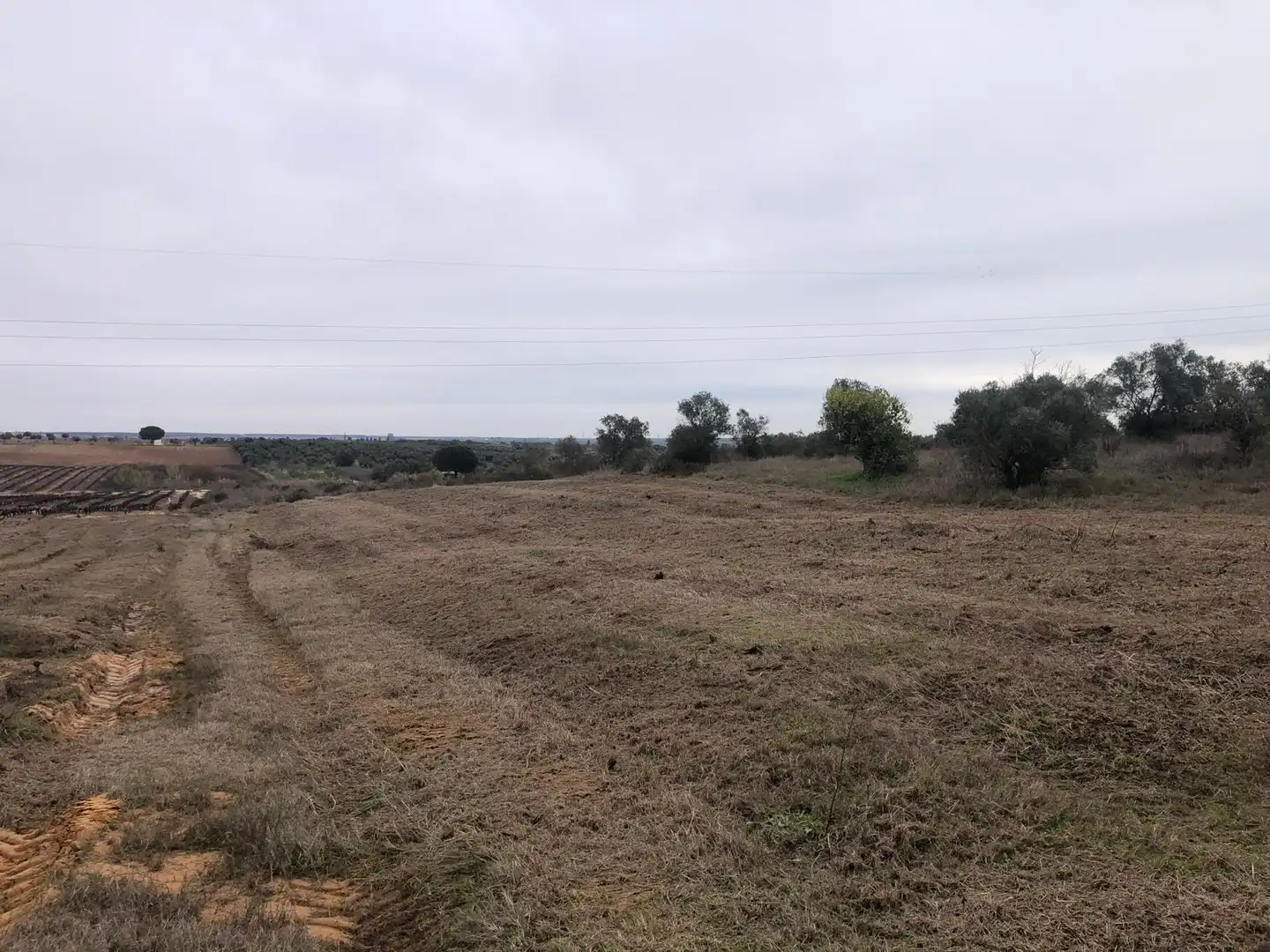 Terreny rústic en venda a CAMINO REMUÑINA, imagen 5
