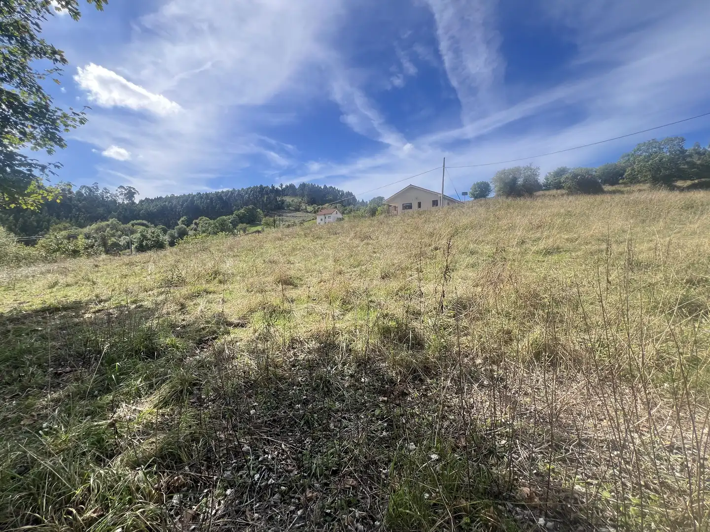 Lands and plots for sale in Pillarno, imagen 12