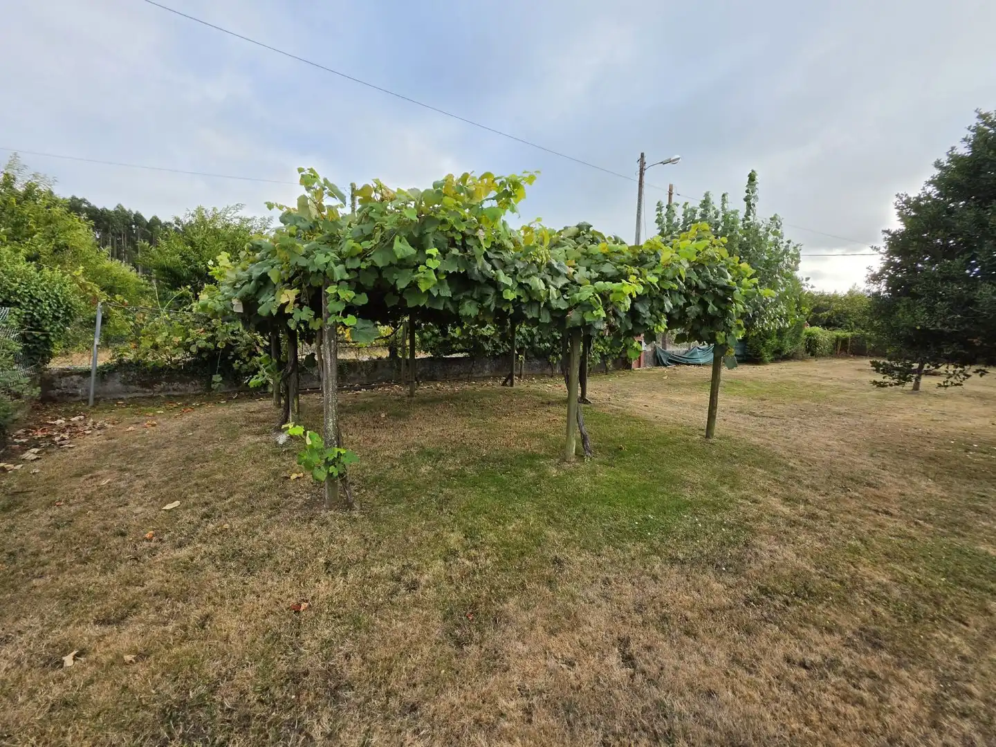 Finca rústica en venda en Curtis amb Jardí privat, Traster i Moblat