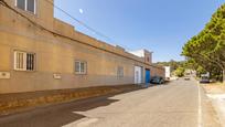 Exterior view of House or chalet for sale in Santa María de Guía de Gran Canaria  with Private garden