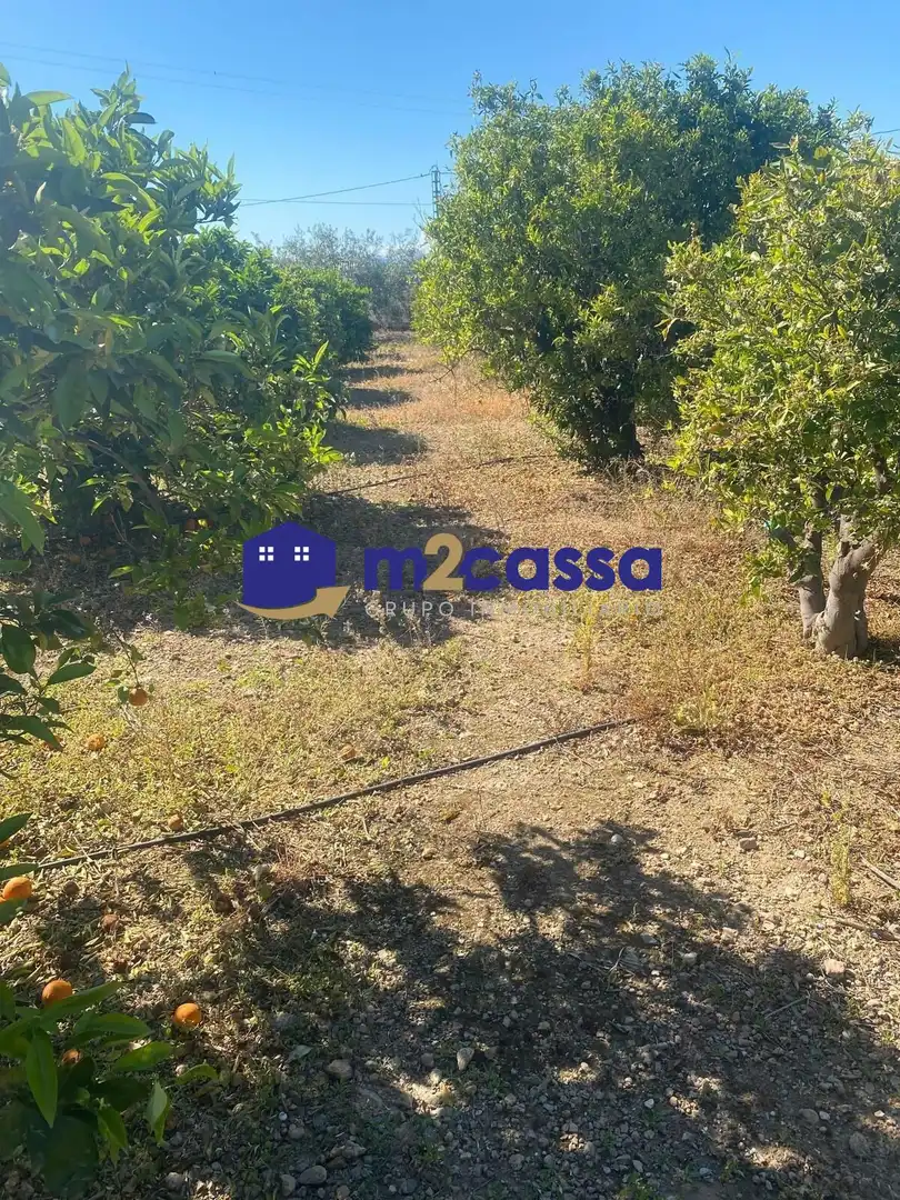 Haus mit Garten zum Verkauf in Pedanías Sur, imagen 13