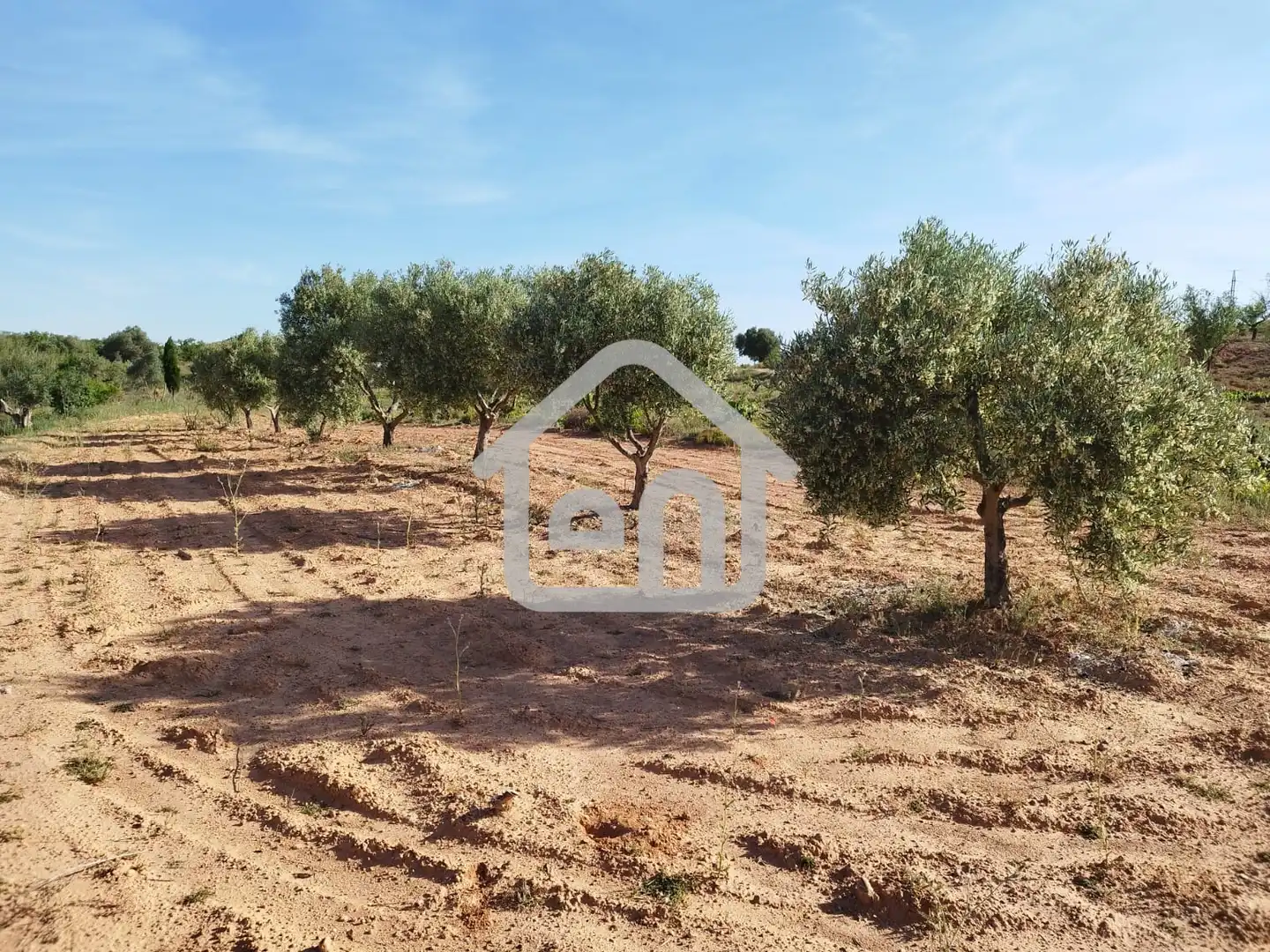Rural land for sale in Requena, imagen 23