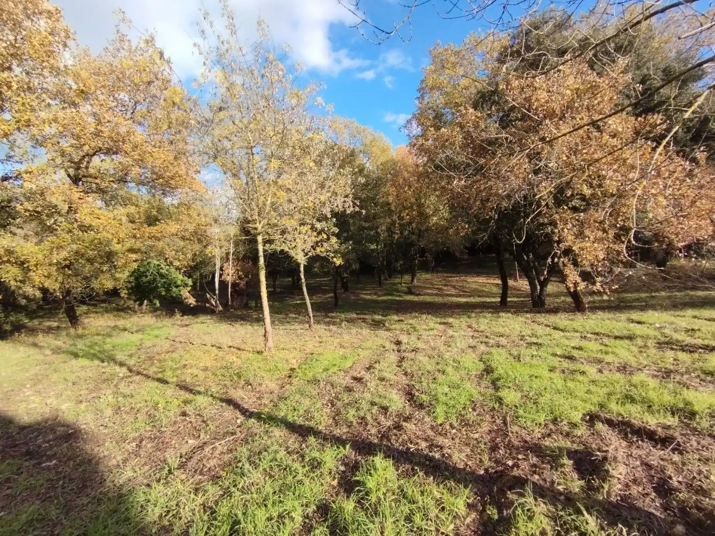 Finca rústica en venda en Quart