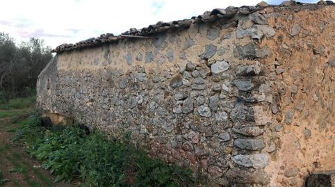 Foto 3 de Finca rústica en venta en Campanet, Illes Balears