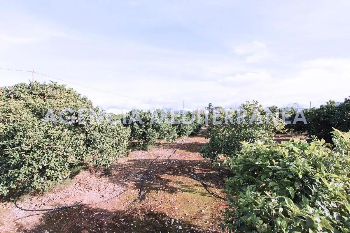 Chalet con jardín en venta en Ondara, imagen 18