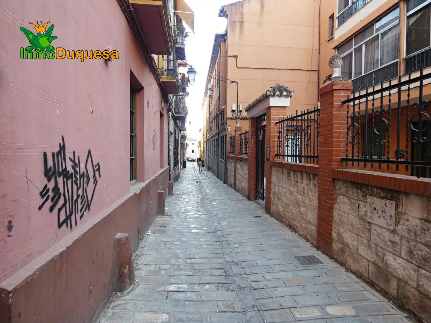 Inmuebles singulares en venta en Centro, imagen 4