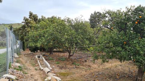 Foto 4 de Finca rústica en venda a Valtocado - La Alquería - La Atalaya, Málaga