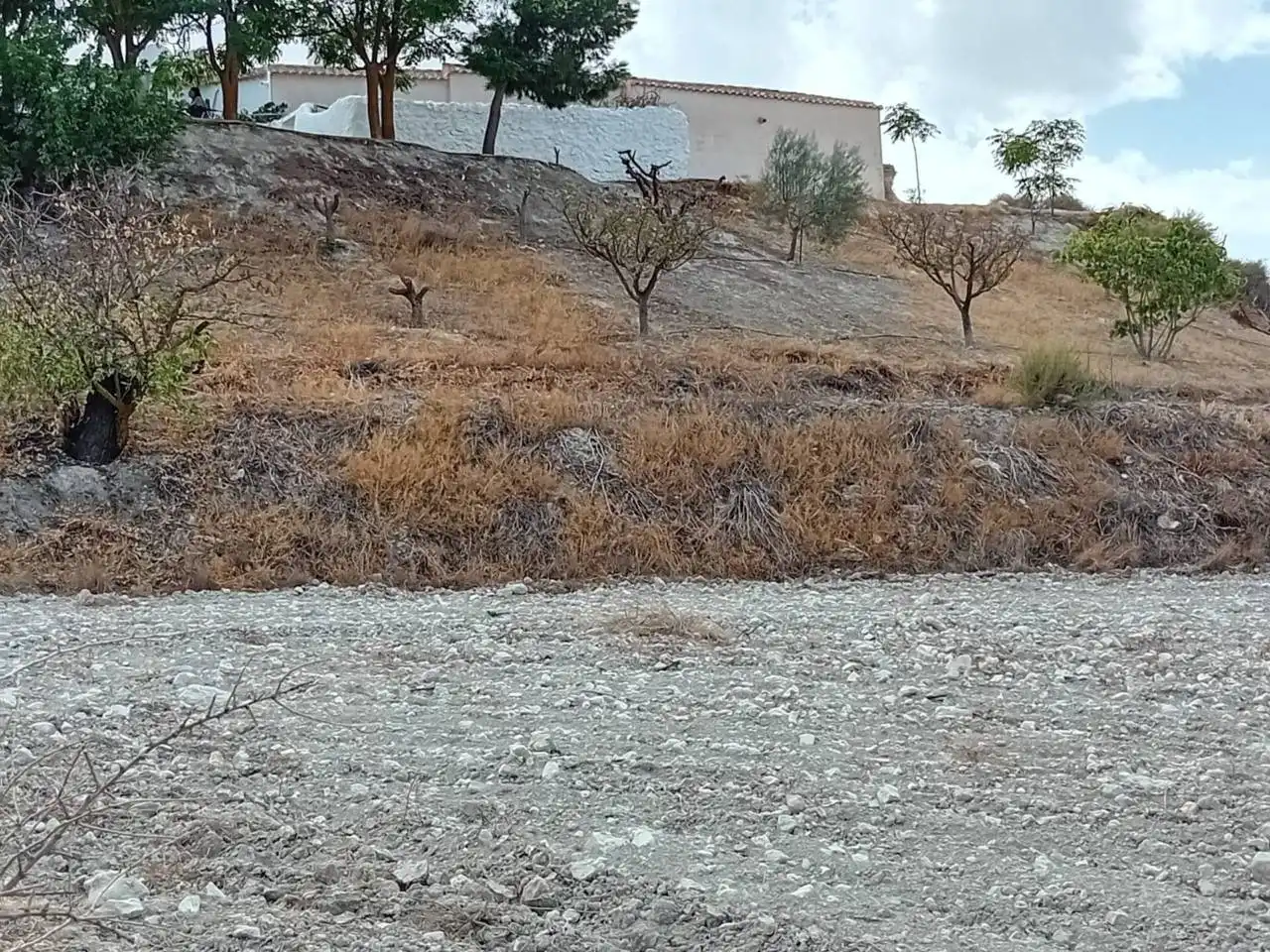 Industrial land for sale in Orce