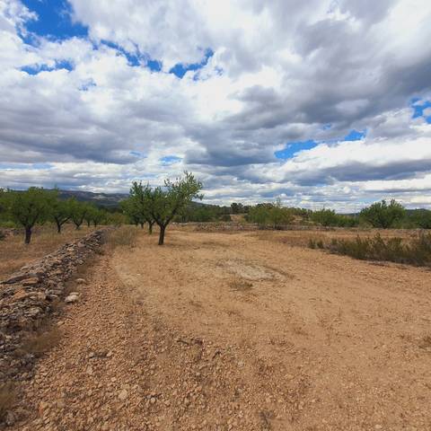 Terreno en Venta en El Pinell de Brai