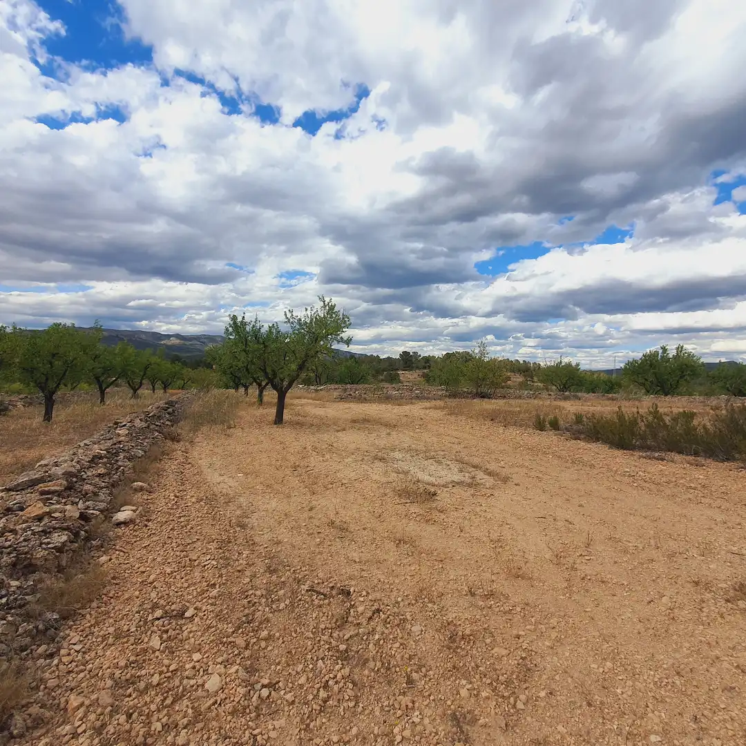 Rural land for sale in El Pinell de Brai