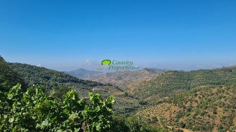 Foto 3 de Finca rústica en venda a Canillas de Albaida, Málaga