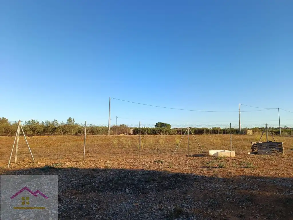 Finca rústica en venda a Calle Poligono 13, Torreblanca