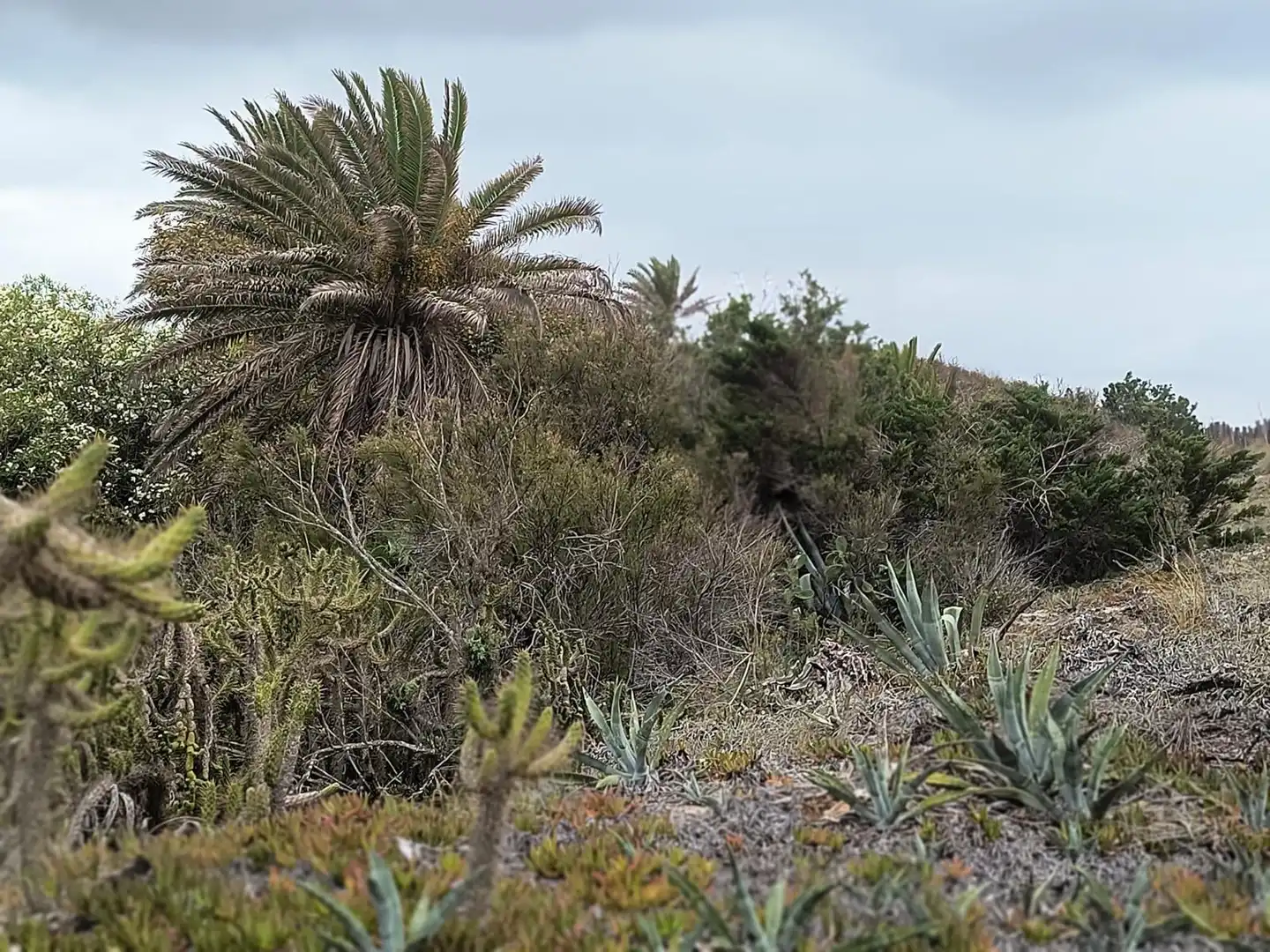 Finca rústica en venta en Cullera con Calefacción, Jardín privado y Terraza