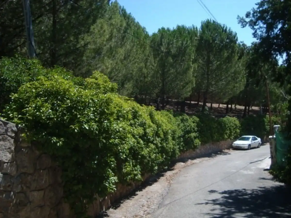 Exterior view of Residential for sale in Loranca de Tajuña