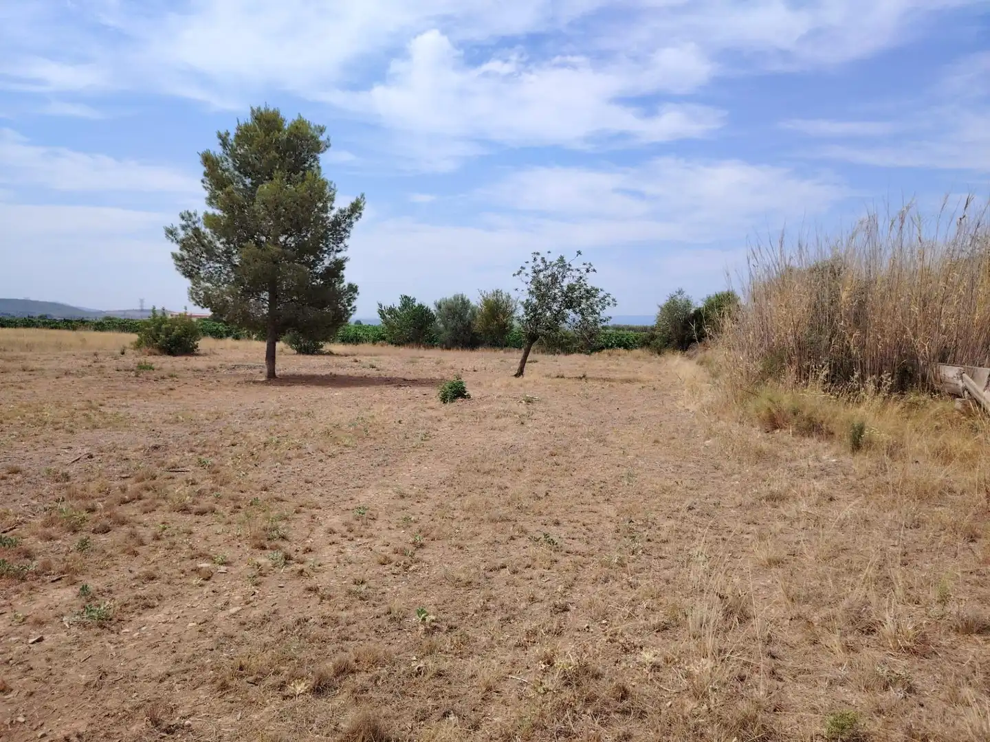 Terrain rustique à vendre à Urbanizaciones, imagen 6